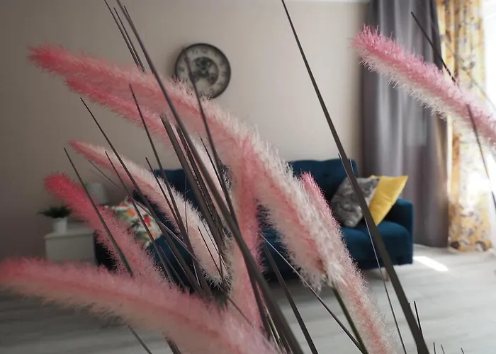 Kghn Wyszynskiego Ii シュチェチン